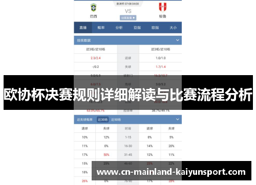 欧协杯决赛规则详细解读与比赛流程分析