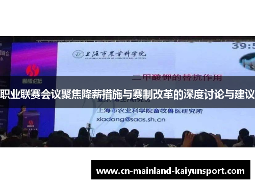 职业联赛会议聚焦降薪措施与赛制改革的深度讨论与建议