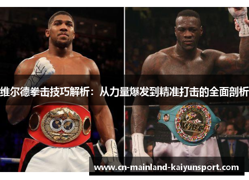 维尔德拳击技巧解析：从力量爆发到精准打击的全面剖析