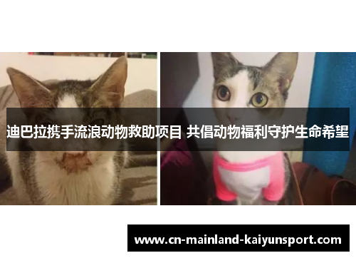 迪巴拉携手流浪动物救助项目 共倡动物福利守护生命希望