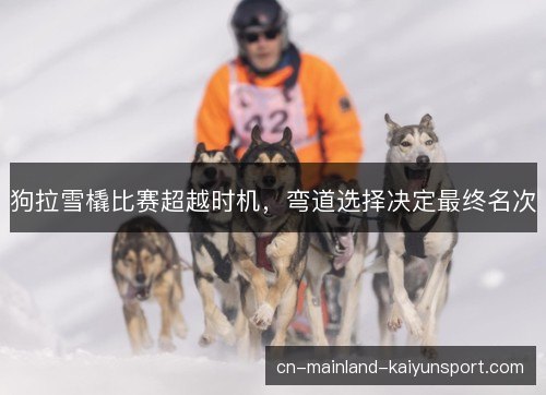 狗拉雪橇比赛超越时机,弯道选择决定最终名次 狗拉雪橇比赛超越时机,弯道选择决定最终名次